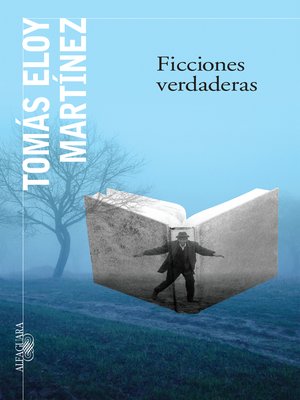 cover image of Ficciones verdaderas